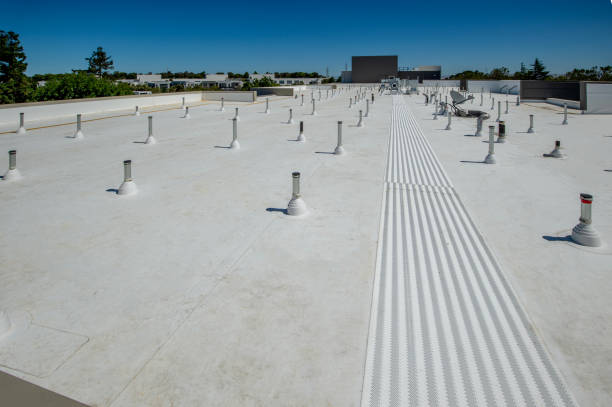 Best Steel Roofing  in Hephzibah, GA